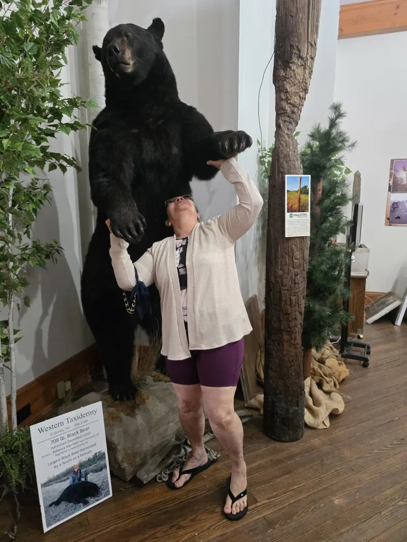 Bear-ology near Sportsman Inn, Plymouth NC