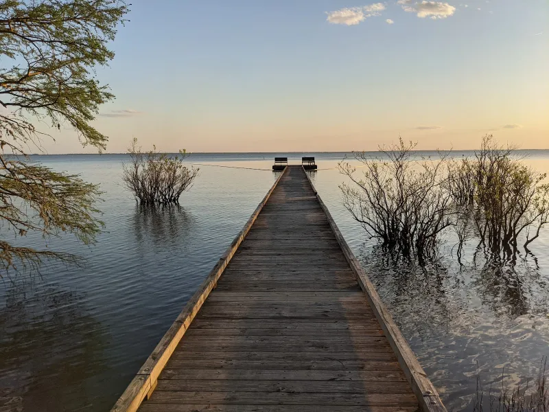 Pettigrew State Park near Sportsman Inn, Plymouth NC